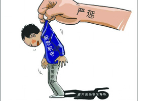 北京人大常委会议：加大食品安全严惩力度